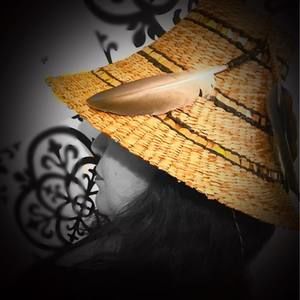 Meet your Posher, Elsie